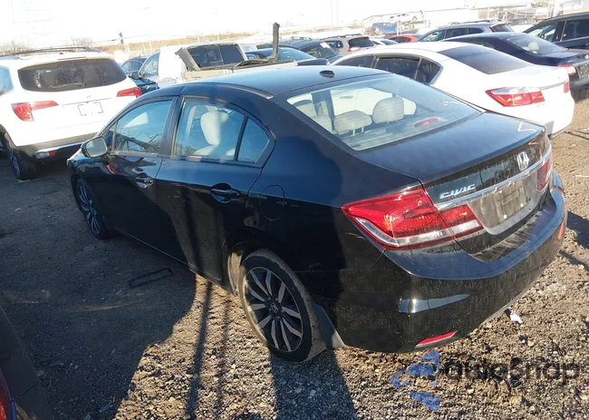 2HGFB2F95FH509934: 44195233