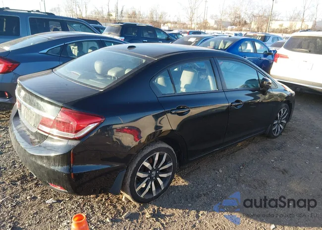 2HGFB2F95FH509934: 44195233