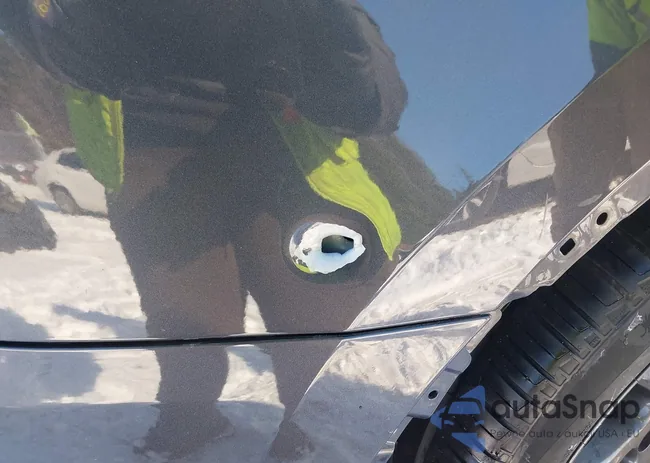 7SAYGDEE5RA331486: 44196428