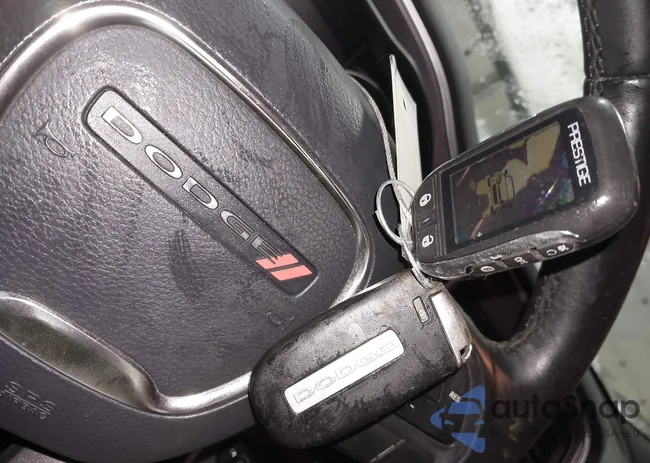 2C3CDZGGXKH607292: 44196484