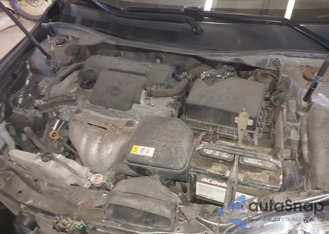 4T1BF1FK9HU443818: 44196686