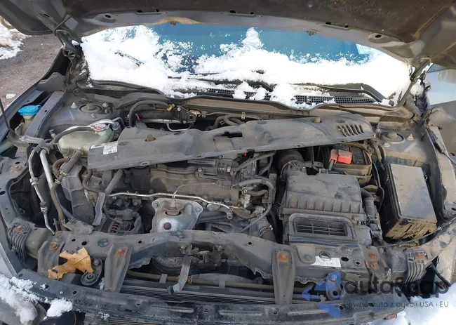 2HGFC2F53HH525899: 44196943