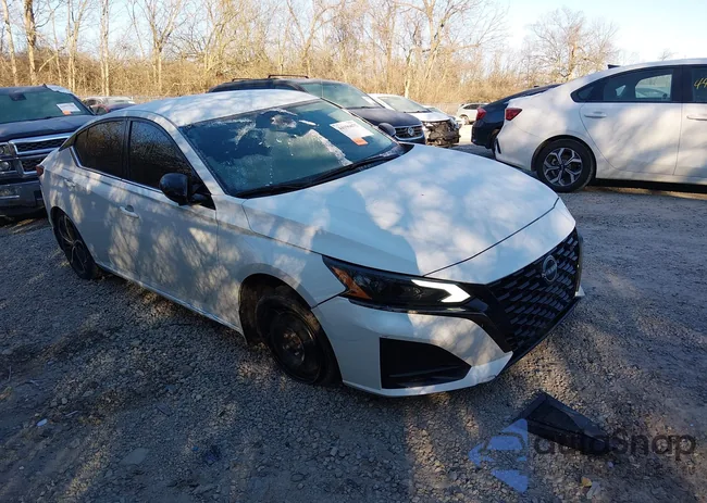 1N4BL4CV0PN308061: 44196075