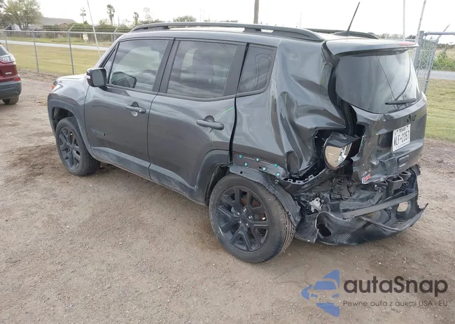 ZACNJDE19PPP15064: 44196231