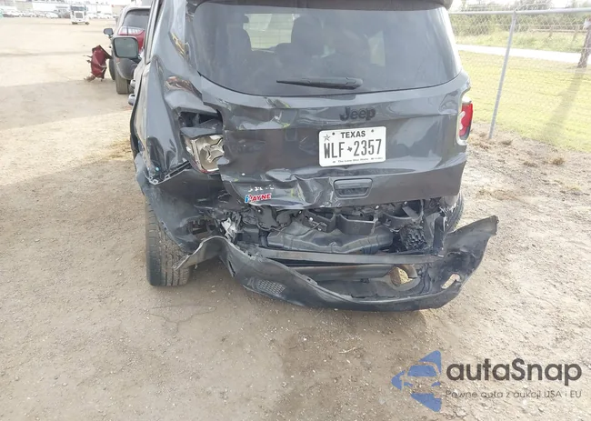 ZACNJDE19PPP15064: 44196231