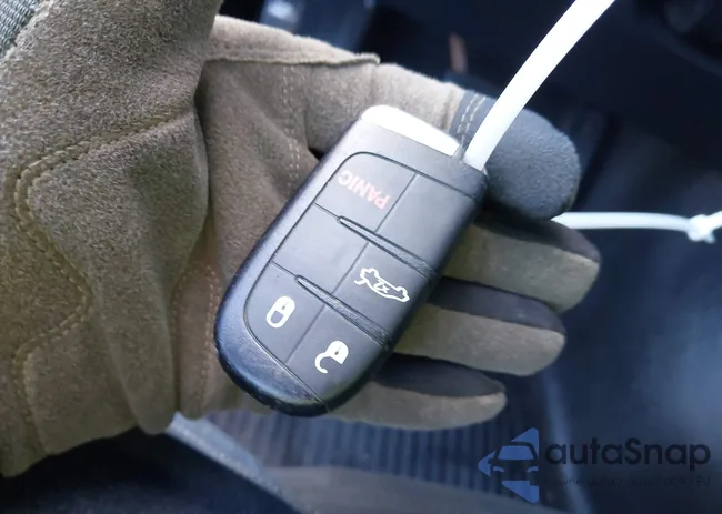 2C3CDXAT4DH721897: 44196232