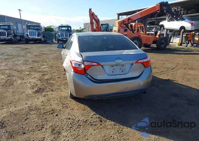 5YFBURHEXFP283314: 44196356