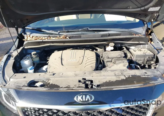 KNDMB5C13G6121030: 44197641