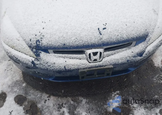 1HGCM56495A024101: 44197829