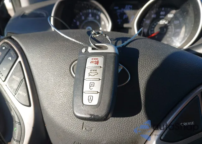 5NPDH4AEXDH433863: 44197017