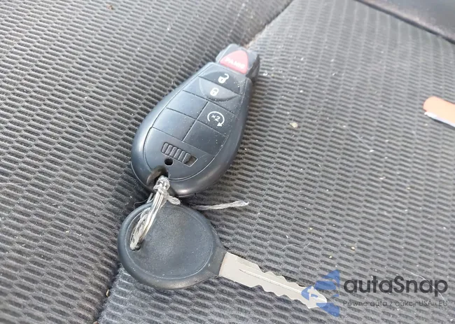 1D7RV1GT9AS219971: 44197236