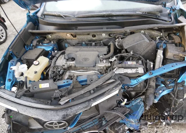 JTMZFREV0JJ178534: 44198425