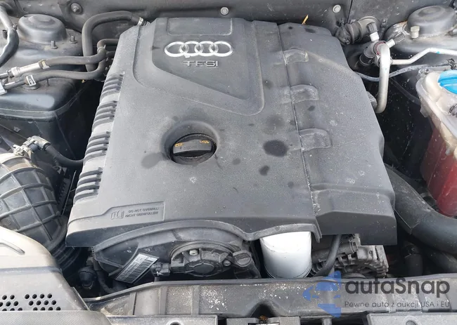 WAUFFAFL5DN017088: 44198444