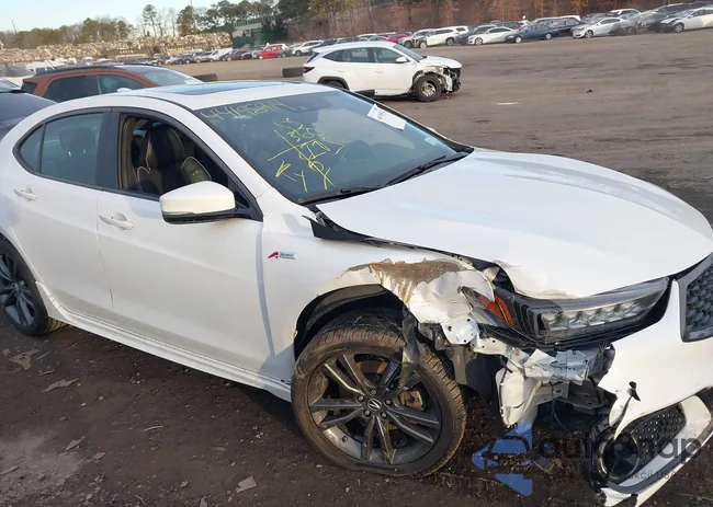 19UUB2F69LA004986: 44198914