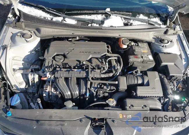 5NPLM4AG0MH021976: 44198955