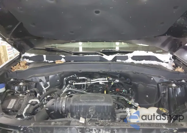 1FMSK8DH9MGB10815: 44198966