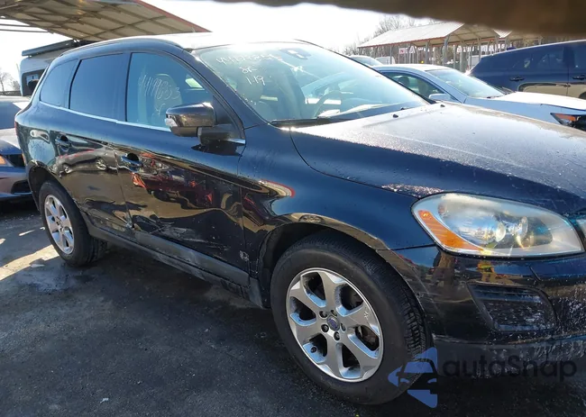 YV4940DZ1D2419809: 44199853