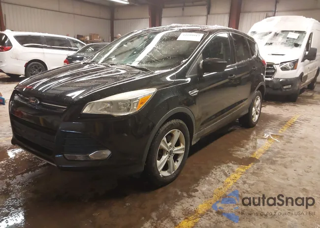 1FMCU9GX0FUC19353: 44199917