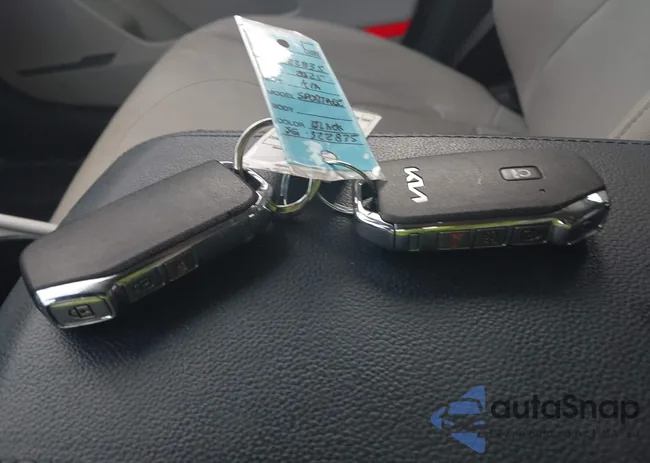 KNDPVCDGXS7232835: 44199923