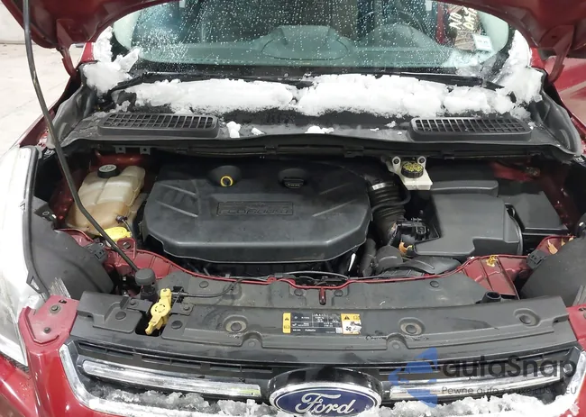 1FMCU9J95DUD31573: 44199964