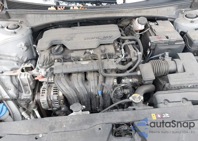 5NPLS4AG5PH116883: 44199979