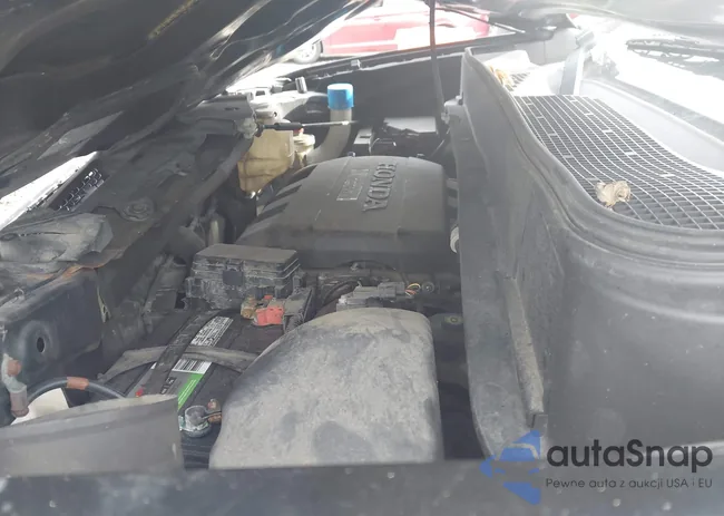 5FNYF48579B032564: 44199094