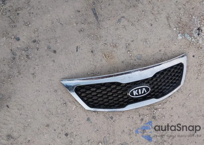 1G4ZR5SS4HU166174: 44200456