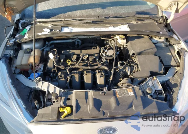 1FADP3N22HL252244: 44200630