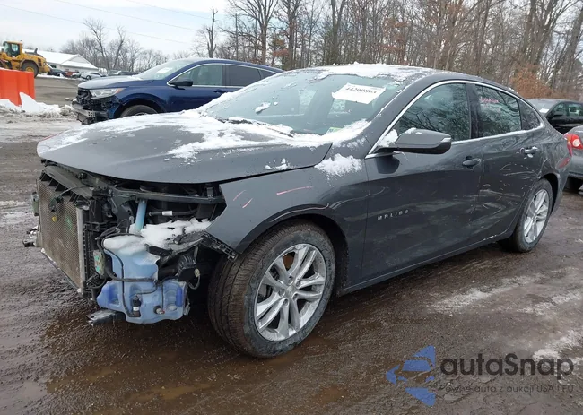 1G1ZE5ST2HF183545: 44200803