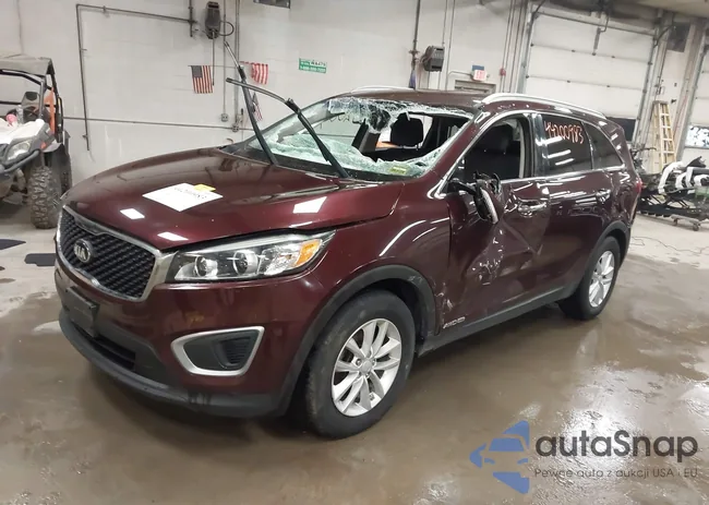 5XYPGDA54HG317815: 44200983