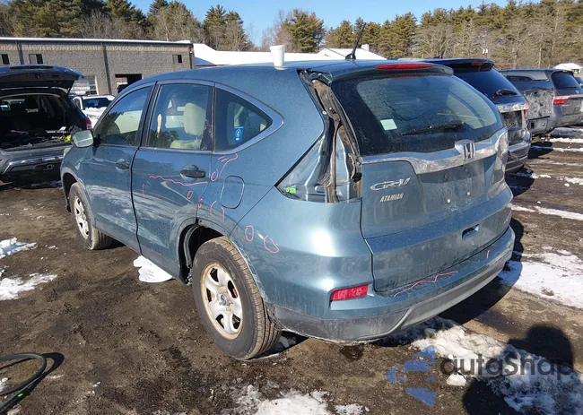 5J6RM4H39FL128434: 44200210