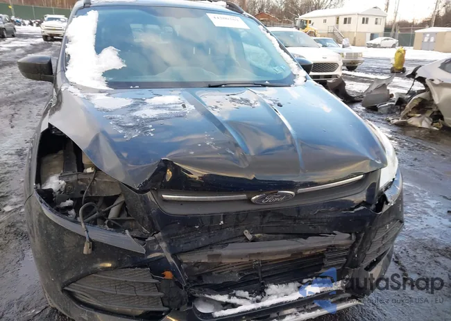 1FMCU9GX9GUB10858: 44200262