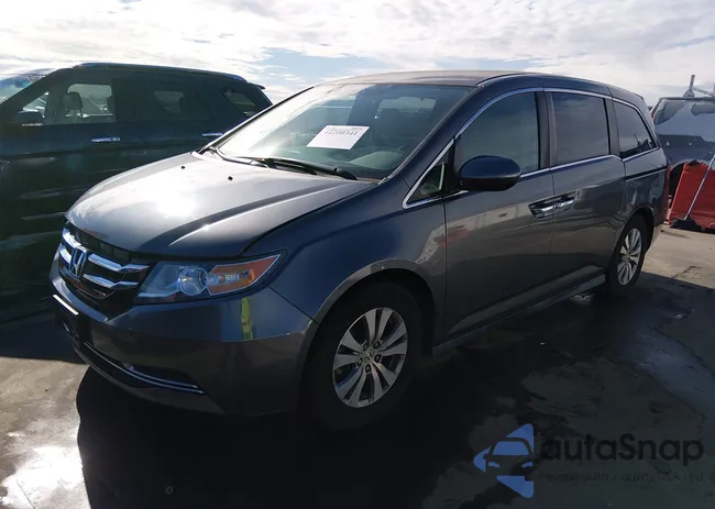 5FNRL5H47HB004367: 44200341