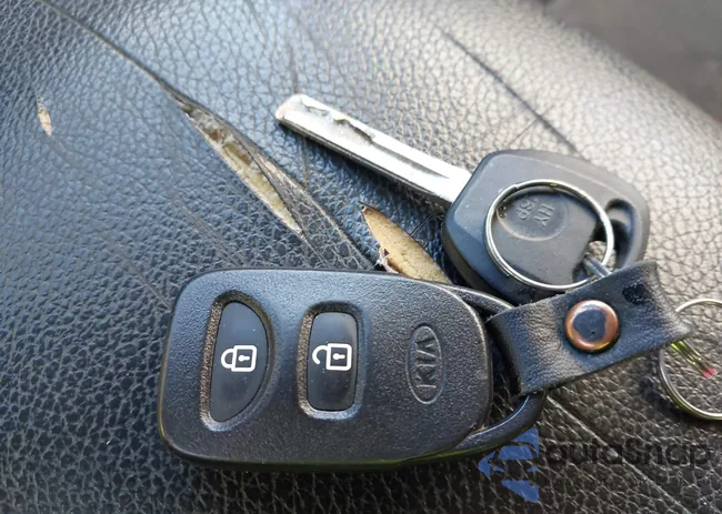 5XYKT4A1XBG094111: 44201519