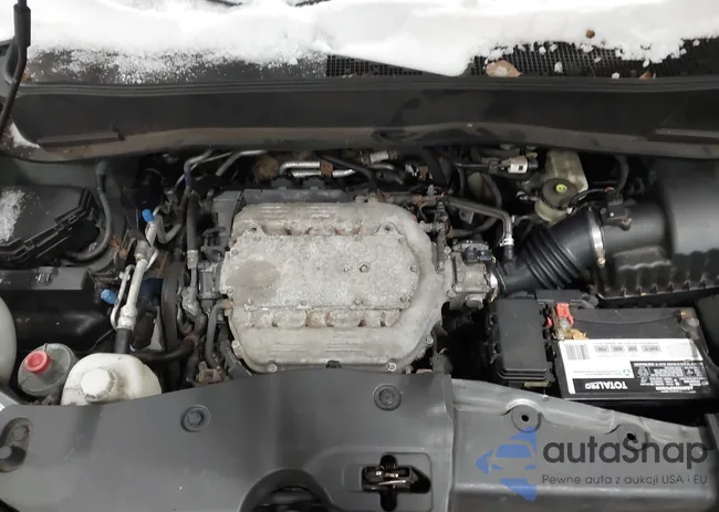 5FNYF48509B002290: 44201672