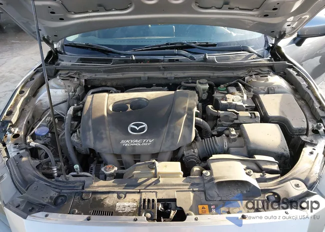 3MZBM1U74FM178782: 44201778