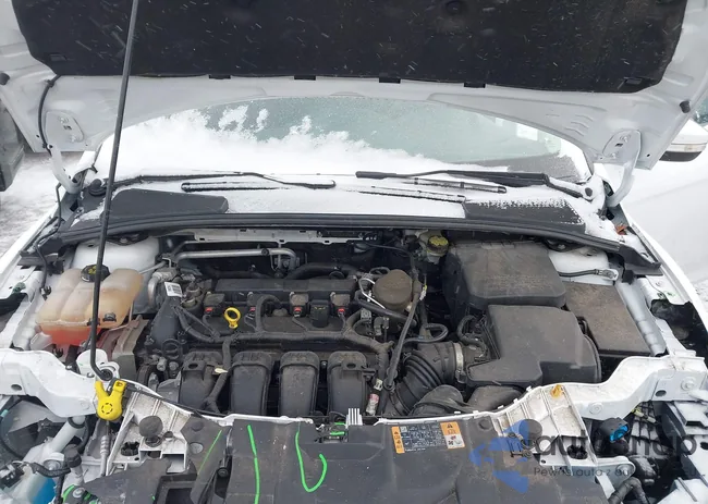 1FADP3F29FL240118: 44201800