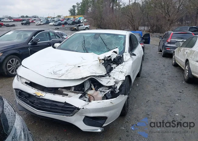 1G1ZE5ST1HF147538: 44201857