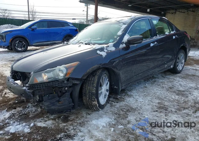 1HGCP3F85BA011839: 44201952