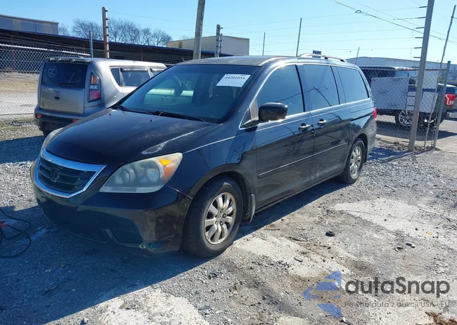 5FNRL38768B081083: 44201054