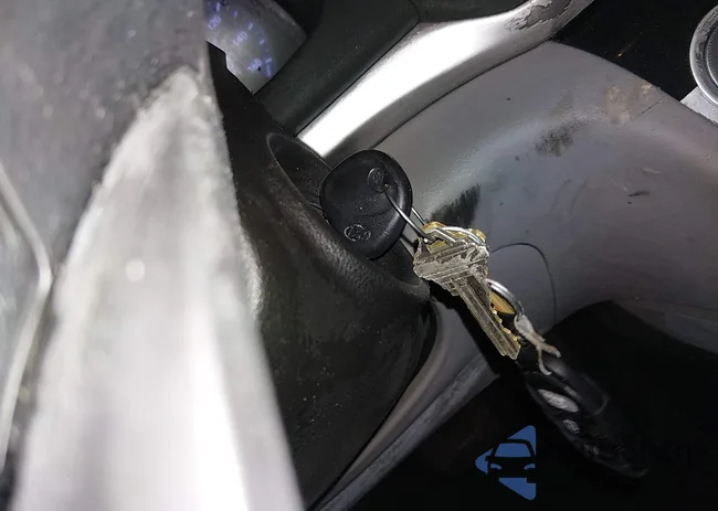 5NPD84LF7KH439137: 44201204