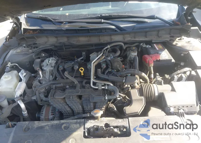 1N4BL4DVXNN305325: 44201231