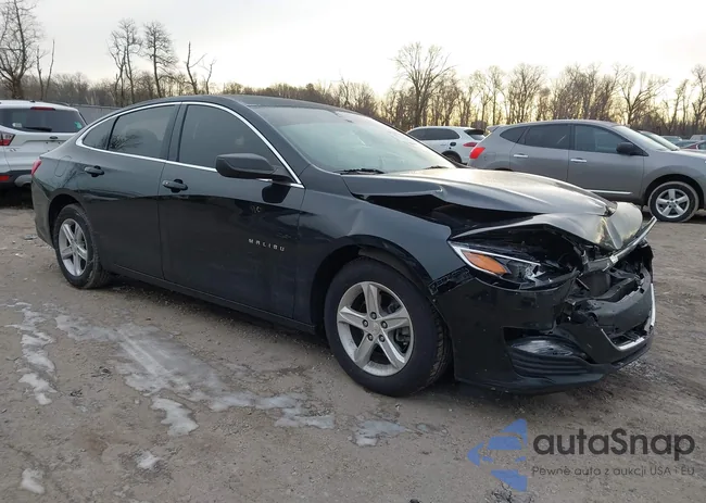 1G1ZB5ST7KF205104: 44201389