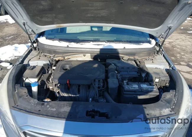 5NPE24AF8FH208665: 44202412