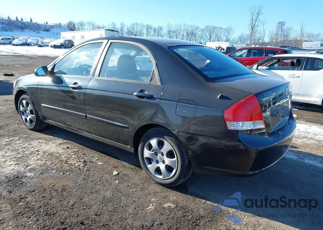 KNAFE121175473097: 44202536