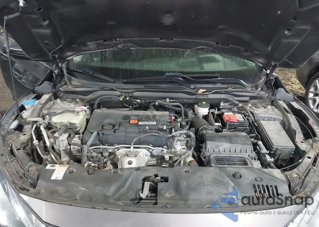 19XFC2F56HE036486: 44202953