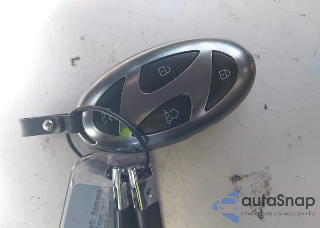 5NMP24GL2TH184815: 44202083