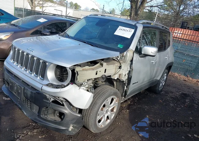 ZACCJBDT7GPD40423: 44202137