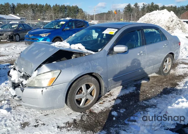 1HGCM56855A131486: 44202182