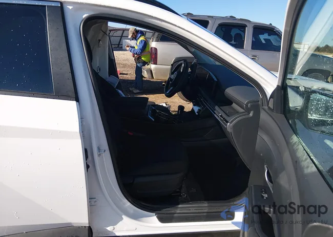 5NMJBCDE3TH652783: 44203516